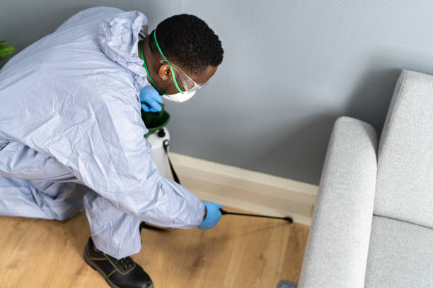 Best Fumigation Services  in Lam, AR